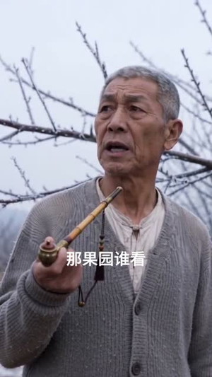 种植:我的伙伴是只熊(66集) 种植:我的伙伴是只熊(66集)免费短剧推荐