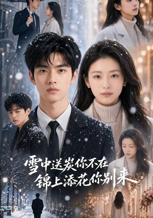 雪中送炭你不在，锦上添花你别来（60集）短剧上头又好看