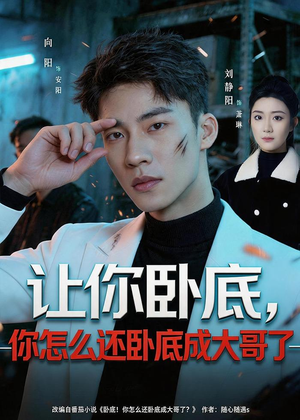 让你卧底,你怎么还卧成大哥了(80集) 让你卧底,你怎么还卧成大哥了(80集)红果免费看短剧