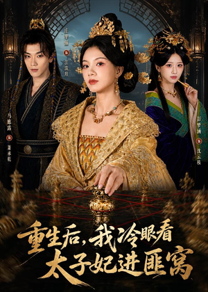 重生后,我冷眼看太子妃进匪窝(60集) 重生后,我冷眼看太子妃进匪窝(60集)短剧排行榜