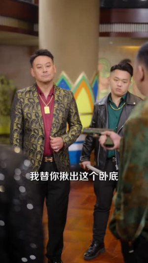 卧底,我本色出演就行(66集) 卧底,我本色出演就行(66集)第三季
