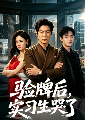 验牌后，实习生哭了（51集）一口气追完全集