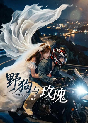 野狗与玫瑰(30集) 野狗与玫瑰(30集)短剧太好看了吧