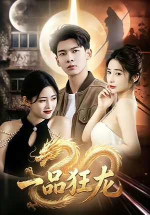 一品狂龙(68集) 一品狂龙(68集)女主谁演的