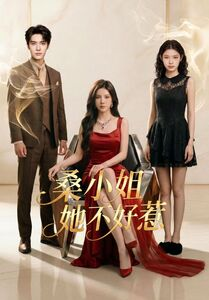 桑小姐她不好惹(103集) 桑小姐她不好惹(103集)短剧追到爽