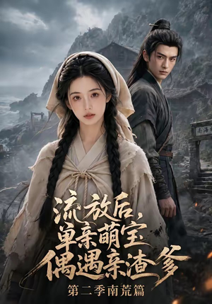 流放后，单亲萌宝偶遇亲渣爹第二季南荒篇（94集）精彩连连免费看