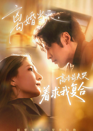 离婚当天，高冷前夫哭着求我复合（77集）真的太好看了