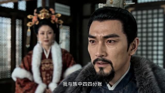 魏家孽种成首辅分宗篇(90集)80到100集