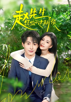 赵先生结婚证过期不候（50集）热门短剧抢先看