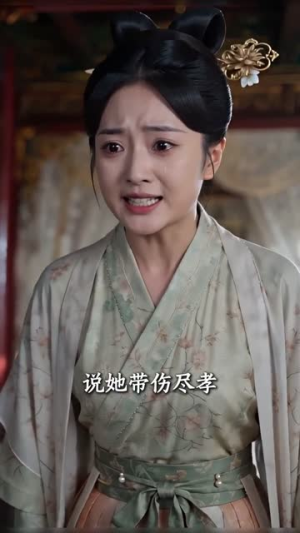 嫡女重华，执棋天下（53集）高分佳作免费看