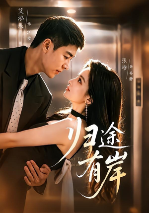 归途有岸（80集）高清画质免费看