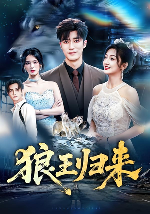 狼王归来（51集）海量资源免费看