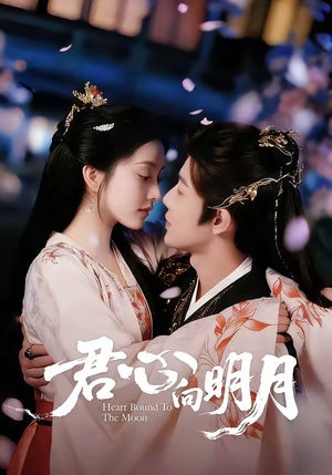 君心向明月（60集）热门爆款短剧