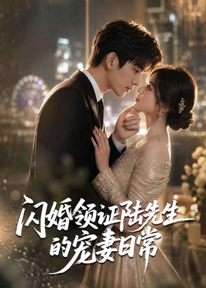 闪婚领证陆先生的宠妻日常（72集）免费看全集