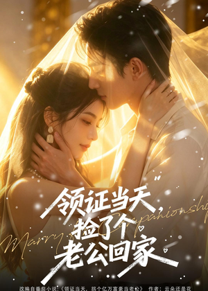 领证当天,捡了个老公回家(80集) 领证当天,捡了个老公回家(80集)热播短剧全集看