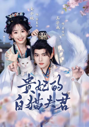 贵妃的白猫夫君（81集）免费在线看全集