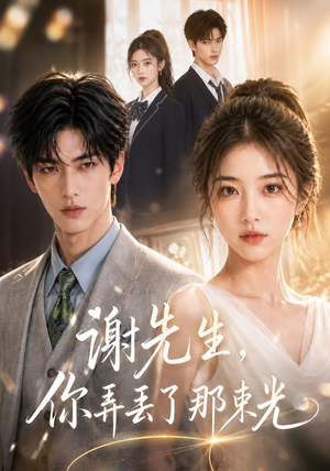 谢先生，你弄丢了那束光（43集）短剧演员排行榜