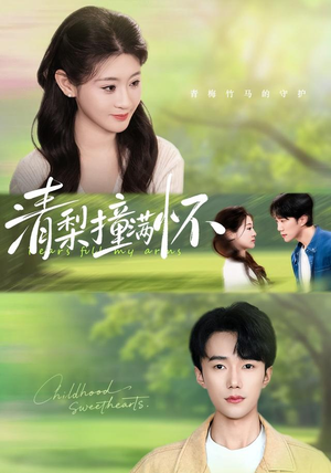 清梨撞满怀（77集）1-102集