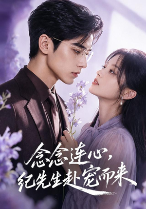 念念连心，纪先生赴宠而来（92集）热门短剧在线看