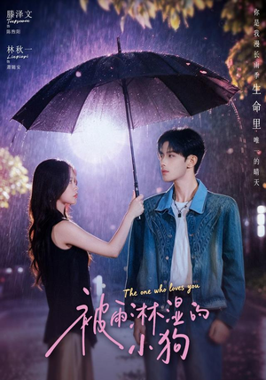 被雨淋湿的小狗(80集) 被雨淋湿的小狗(80集)好看短剧看不停