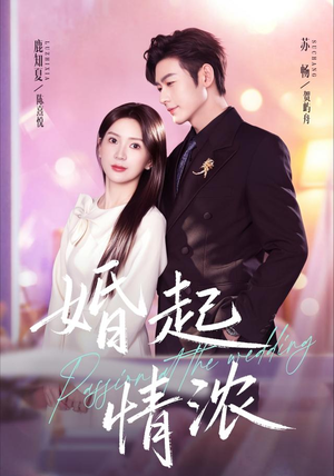 婚起情浓（99集）在线观看完整版