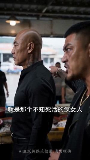 隐入尘烟的王牌（41集）免费观看
