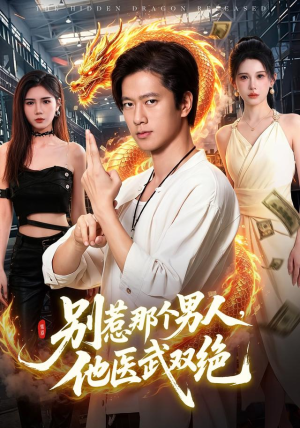 别惹那个男人，他医武双绝（109集）排行榜前十短剧