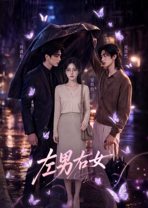 左男右女(63集) 左男右女(63集)短剧精彩绝伦