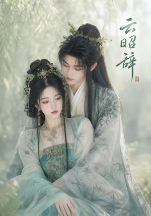 云昭辞（40集）真的好看吗