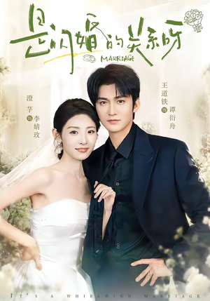 是闪婚的关系呀(63集) 是闪婚的关系呀(63集)哪个短剧网能看
