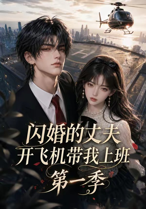 闪婚的丈夫开飞机带我上班第一季(91集) 闪婚的丈夫开飞机带我上班第一季(91集)短剧全集免费