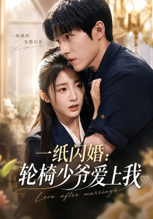 一纸闪婚：轮椅少爷爱上我（72集）好看吗