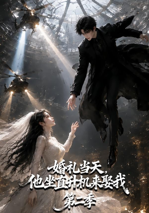 婚礼当天，他坐直升机来娶我第二季（132集）看短剧放松一下