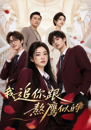 我追你跟熬鹰似的(95集) 我追你跟熬鹰似的(95集)女频短剧推荐