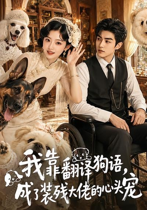 我靠翻译狗语，成了装残大佬的心尖宠（80集）越看越好看短剧