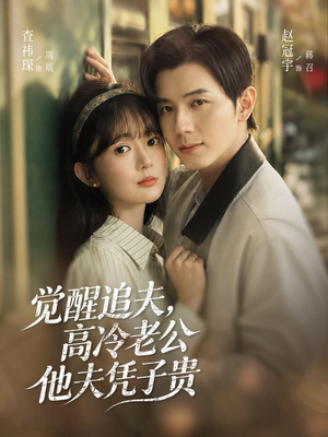 觉醒追夫，高冷老公他夫凭子贵（64集）全剧免费观看
