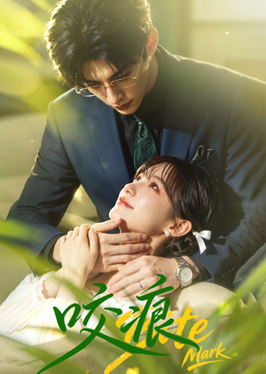 咬痕（60集）百度网盘在线看