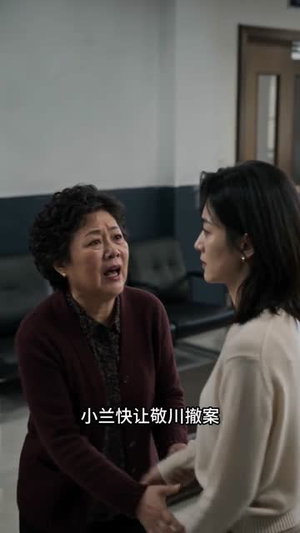 一套婚房，看清一家人（60集）流畅播放免费看