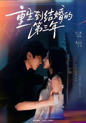 重生到结婚的第三年(73集) 重生到结婚的第三年(73集)爆款热门短剧