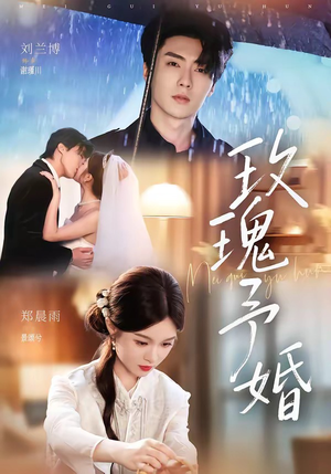 玫瑰予婚（68集）高清无码免费看
