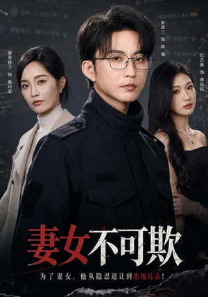 妻女不可欺(61集) 妻女不可欺(61集)免费在线看