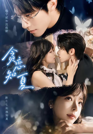 贪恋知夏（60集）免费观看全集