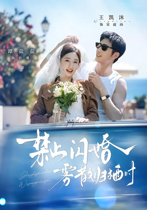 禁止闪婚，雾散归栖时（66集）短剧全集免费