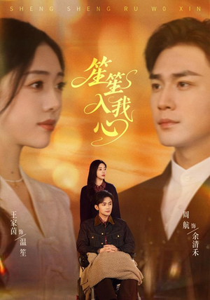 笙笙入我心(90集) 笙笙入我心(90集)女主角是谁