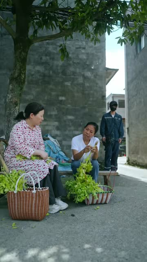 遗信邮差(46集) 遗信邮差(46集)精彩好看短剧