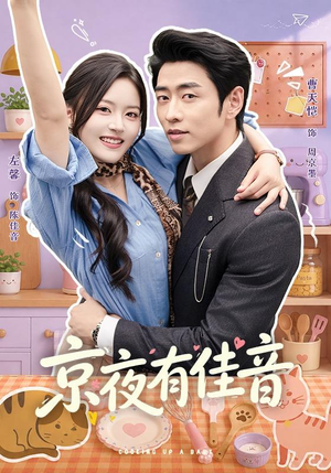 京夜有佳音（68 集）免费看短剧