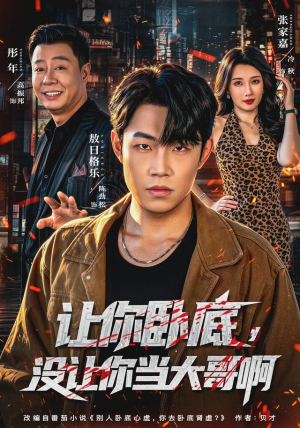 让你卧底,没让你当大哥啊(80 集) 让你卧底,没让你当大哥啊(80 集)免费看