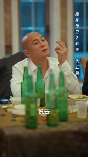 Y身S卫第二季（90 集）全集免费