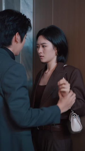 重逢那晚,我甩总裁二百五(80 集) 重逢那晚,我甩总裁二百五(80 集)精彩短剧天天看