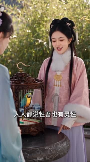 福妻进门，福气满盆（200集）全集无删减